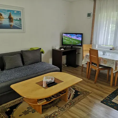 Zubor Apartment Banja Koviljaca