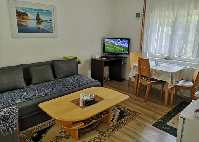 Zubor Apartament Banja Koviljača